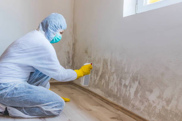 Hvac And Air Duct Mold Remediation inspection of HVAC system in Riverdale