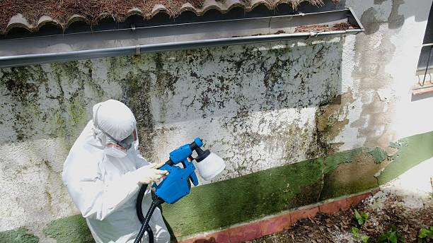 Mold Remediation service in Riverdale, Riverdale, GA
